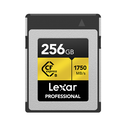 LCFX10-256CRBNA image