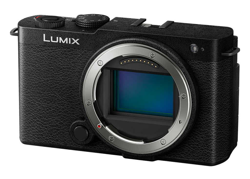 Panasonic Lumix S9 Compact camera 24.2 MP CMOS 12000 x 8000 pixels Black