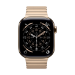 Apple 42mm Gold Link Bracelet