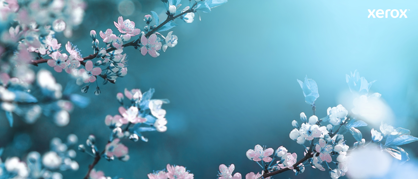 Xerox 006R04376 Toner-kit, 3K pages ISO/IEC 19752 for Xerox B 310