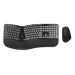 Conceptronic ERGO Kabelloses Set aus ergonomischer Tastatur und vertikaler Maus, englisch