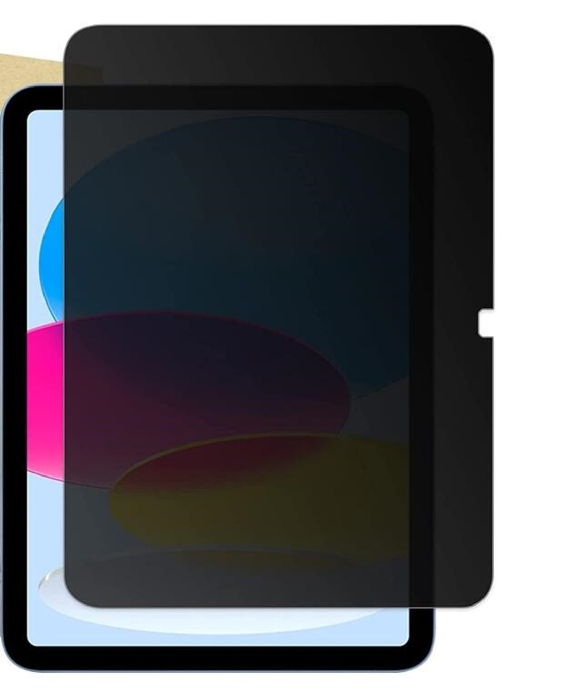 JLC Apple iPad 10th 10.9 2022 Privacy Tempered Glass Screen Protector