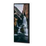 dbramante1928 Bulk - Nuuk - Galaxy S22 Ultra - Black