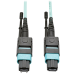 Tripp Lite N842-10M-12-MF fiber optic cable 393.7" (10 m) MTP OM3 Black, Blue