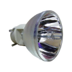 ECL-7133-PG - Projector Lamps -