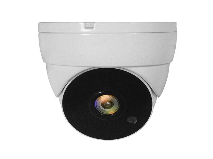 Photos - Surveillance Camera LevelOne 4-in-1 Fixed Dome CCTV Analog Camera, FHD 1080P ACS-5302 