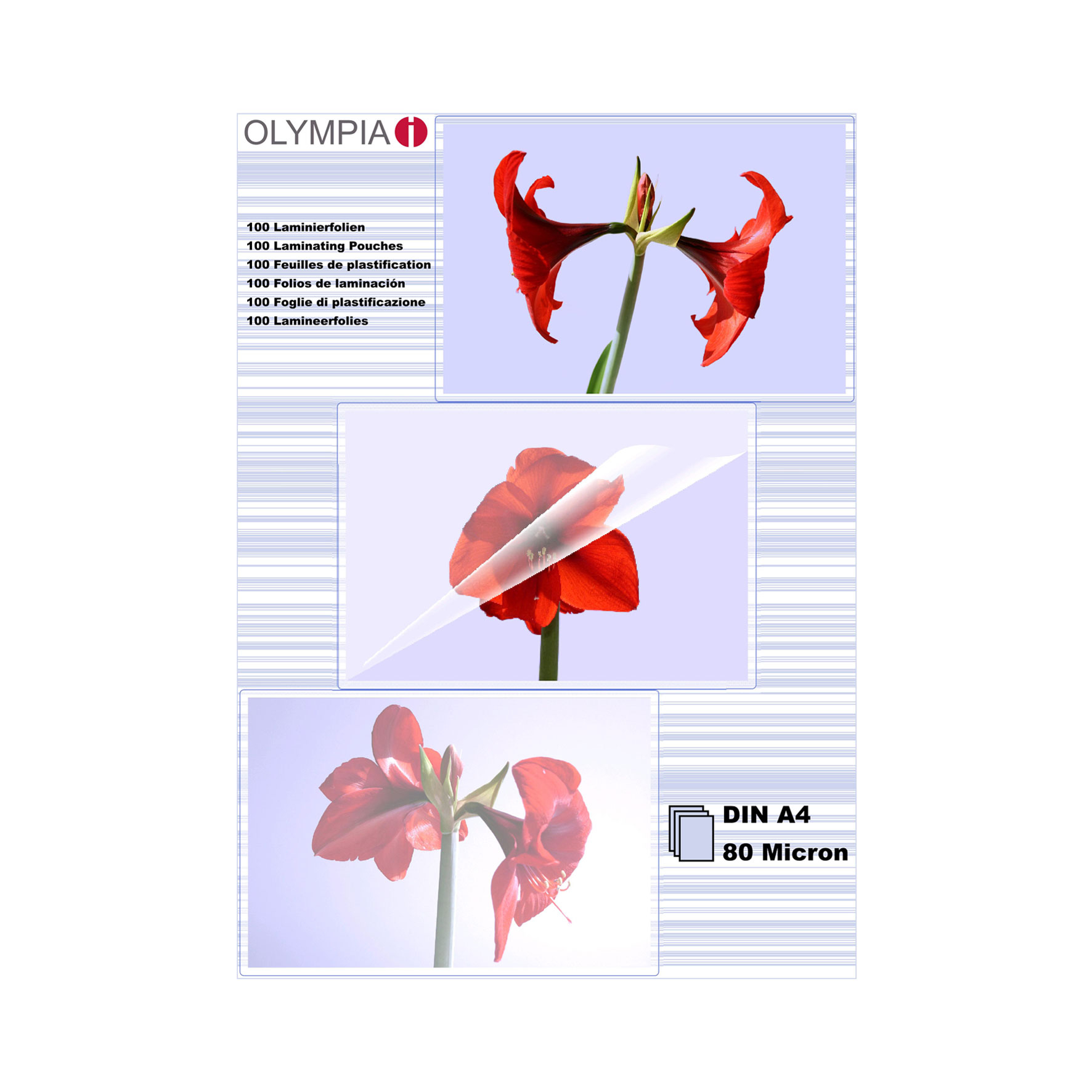 Image of Olympia 1x100 DIN A4 80 micron laminator pouch 100 pc(s)