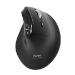 Port Designs ERGO AUDITOR mouse Universal Right-hand RF Wireless + Bluetooth Optical 4800 DPI