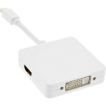 InLine Mini DisplayPort to HDMI / DVI / DisplayPort Adapter Cable white