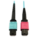 Tripp Lite N846D-03M-24DAQ InfiniBand/fibre optic cable 118.1" (3 m) MTP OFNP Aqua color