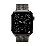 Apple MGJ14ZM/A smart wearable accessory Band Slate colour Stainless steel