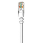 Intellinet 30m Cat6 networking cable White 1181.1" (30 m) U/UTP (UTP)