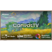 Hisense 55" S7NQTUK Canvas TV with Freely & ArtMode