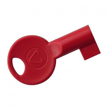 Spare key for use with CFP  panels thumbnail