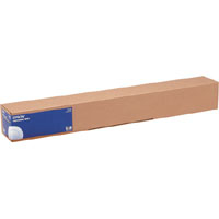 Epson Photo Paper Gloss, 17" x 30,5 m, 250g/mÂ²