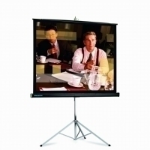 Da-Lite Picture King 156x244 projection screen