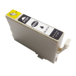 CTS Compatible Epson T0541 Photo Black T05414010 Inkjet