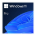 Microsoft Win Pro FPP 11 64-bit Eng Intl USB
