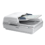DPSB Epson WorkForce DS-6500 Business Scanner