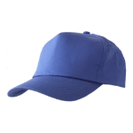BEESWIFT Baseball Cap Royal Blue