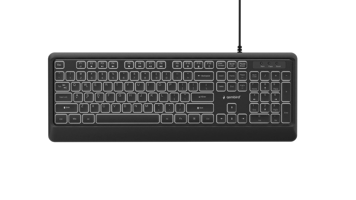 GEM bird KB-UML-04 Slim wired backlight keyboard, black, US layout