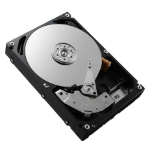 DELL Y9646 internal hard drive 80 GB 7200 RPM 3.5" Serial ATA