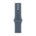 Apple MFFW4ZM/A smart wearable accessory Band Blue Fluoroelastomer
