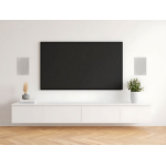 Vivolink VLSPIW60W loudspeaker