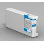 Epson Singlepack Cleaning Cartridge T699000