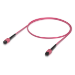 Ubiquiti UACC-OFC-MA-MPMP-1M InfiniBand/fibre optic cable MPO/UPC Rose