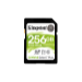 SDS2/256GB - Memory Cards -