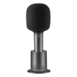 Xiaomi BHR6752GL microphone Black Karaoke microphone