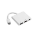 FDL 0.15M USB-C TO DISPLAYPORT ADAPTOR + POWER & DATA  (M-F)