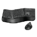 LogiLink ID0211 keyboard Mouse included RF Wireless QWERTZ German Black