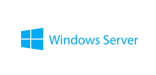 Lenovo Windows Server 2019 Client Access License (CAL) 50 license(s)