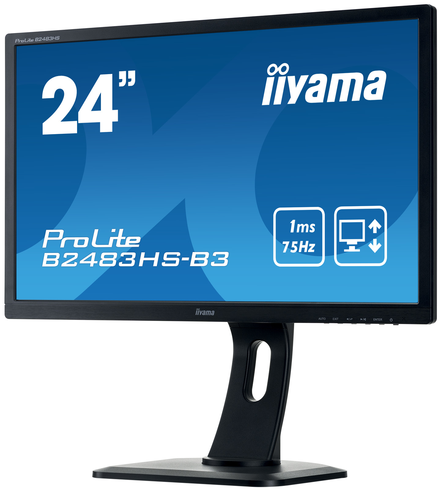 iiyama prolite b2483hs test