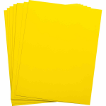 Brady 029796 Yellow Self-adhesive printer label