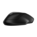 HP 255 Dual Wireless Mouse