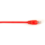 Black Box CAT5EPC-002-RD networking cable Red 23.6" (0.6 m) Cat5e U/UTP (UTP)