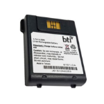 BTI 318-043-003 Battery 1 pc(s)