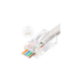 Microconnect KON505-50EZ wire connector RJ-45 Transparent