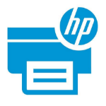 DPSB HP 738 300-ml Black DesignJet Ink Cartridge (498N8A)