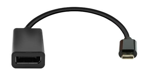 ProXtend USB-C to DisplayPort adapter 20cm black