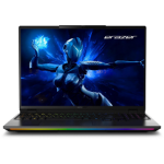 ERAZER Beast 16 X1 Ultimate Intel Core Ultra 9 275HX Laptop 40.6 cm (16") Quad HD+ 32 GB DDR5-SDRAM 2 TB SSD NVIDIA GeForce RTX 5090 Wi-Fi 6E (802.11ax) Windows 11 Home US English Black