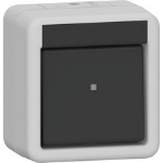 GIRA 310630 electrical switch Rocker switch Anthracite, Grey