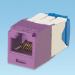 Panduit UTP RJ45 TG-MiniJack Cat6a Violet