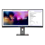 Lenovo ThinkVision P40WD-40 Monitor