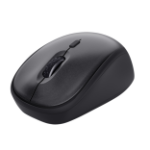 Trust TM-201 mouse Right-hand RF Wireless Optical 1600 DPI
