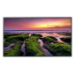 Samsung QB43B Digital signage flat panel 109.2 cm (43") VA Wi-Fi 350 cd/m² 4K Ultra HD Black Tizen 6.5 16/7