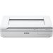 Epson WorkForce DS-50000 Flatbed scanner 600 x 600 DPI A3 White